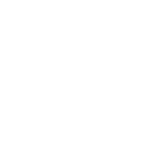 icon github